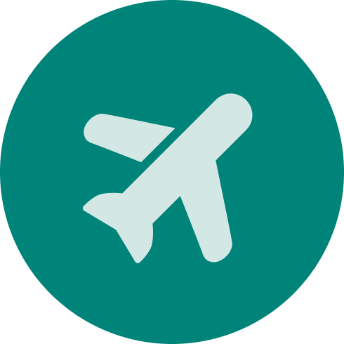 icon_in-flight